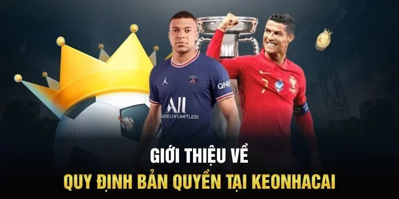 khai-niem-quy-dinh-ban-quyen